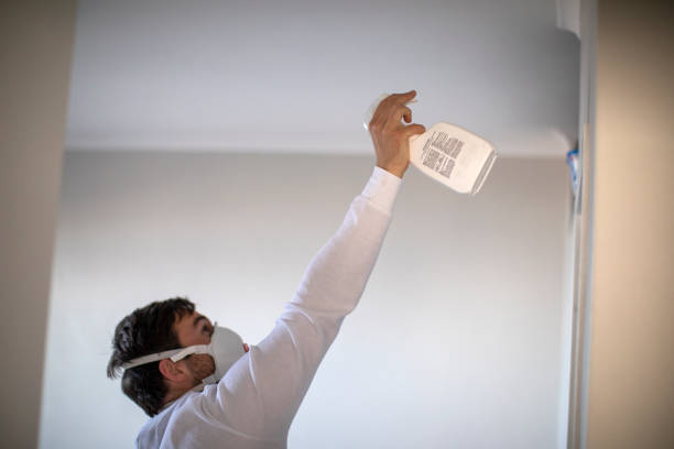 Best Industrial Mold Remediation in Meadow Glade, WA
